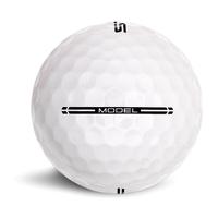 Wilson Staff Model